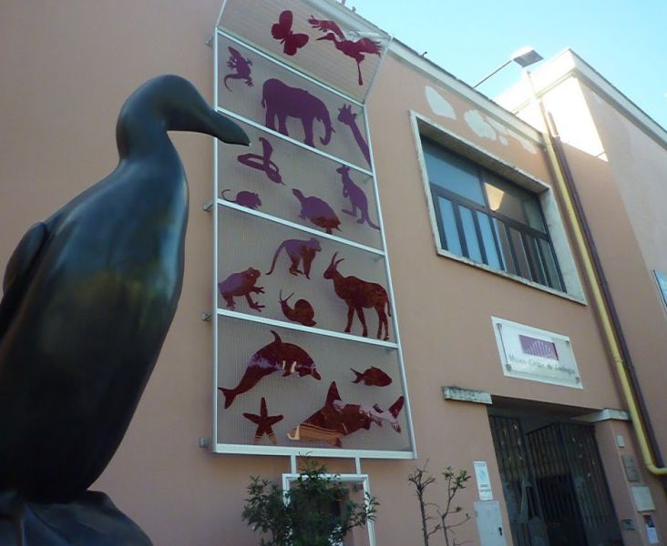 Музей зоологии Рима